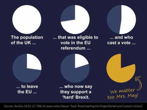 The pie chart of voters